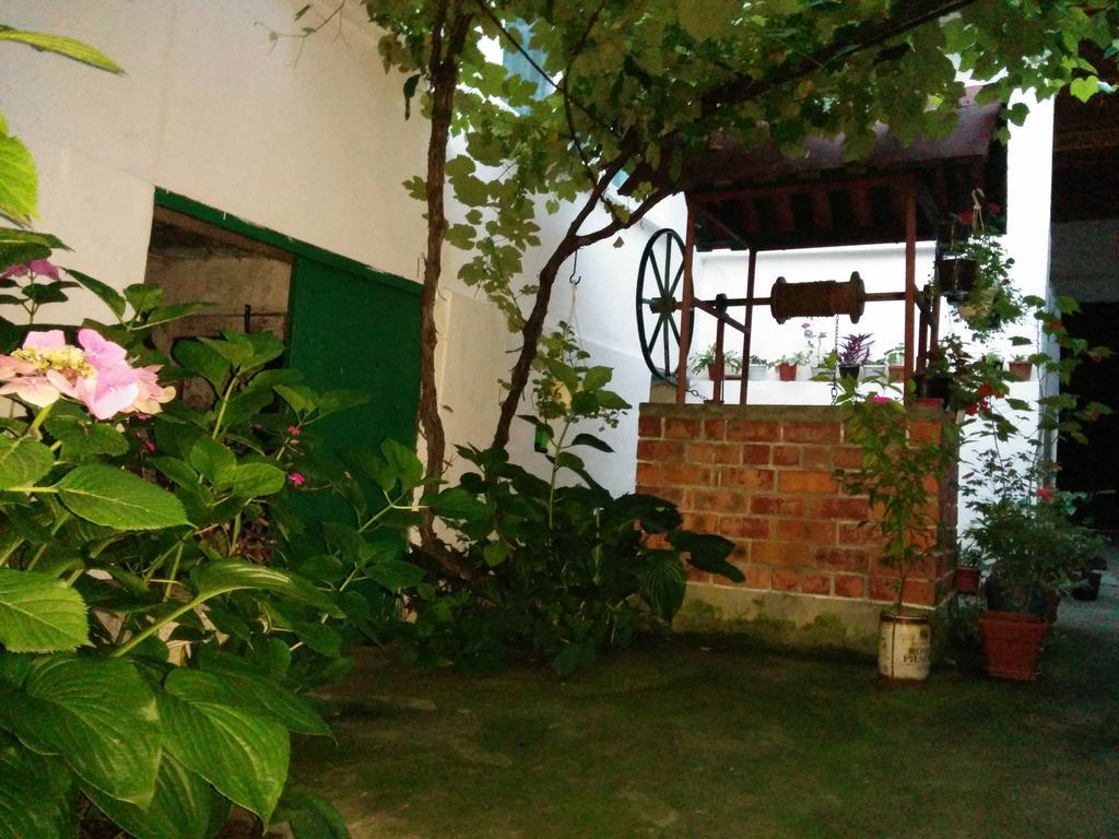 Pension Casa Anadam Băile Herculane Exterior foto