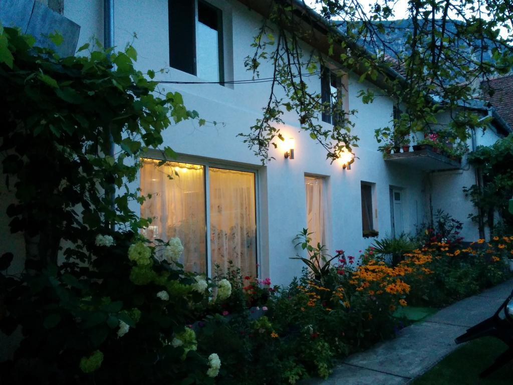 Pension Casa Anadam Băile Herculane Exterior foto